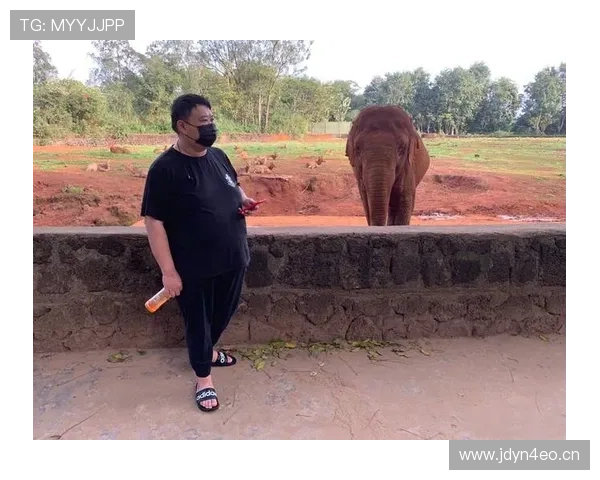 孙悦家的狗都比你自律